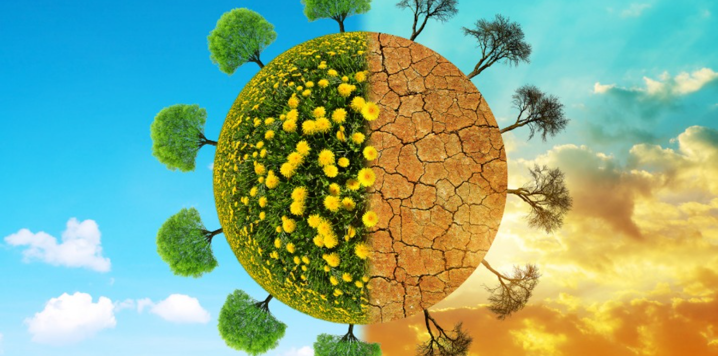 Community Resilience Building