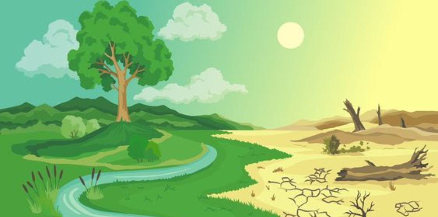 Environmental Conservation Efforts